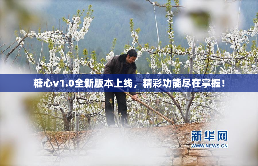 糖心v1.0全新版本上线，精彩功能尽在掌握！