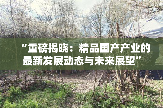 “重磅揭晓：精品国产产业的最新发展动态与未来展望”
