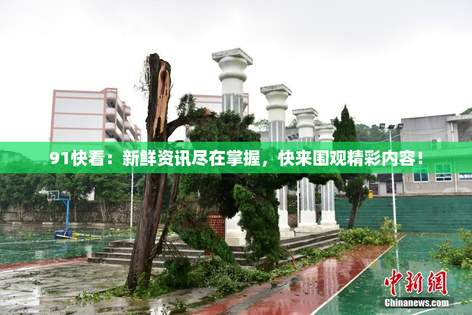 91快看：新鲜资讯尽在掌握，快来围观精彩内容！