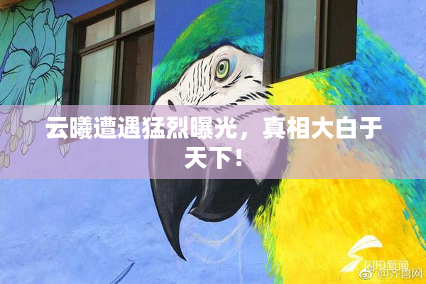 云曦遭遇猛烈曝光，真相大白于天下！