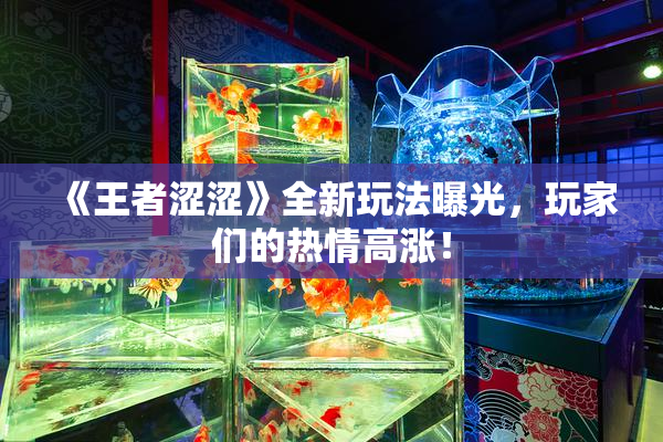 《王者涩涩》全新玩法曝光，玩家们的热情高涨！