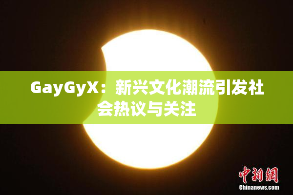 GayGyX：新兴文化潮流引发社会热议与关注