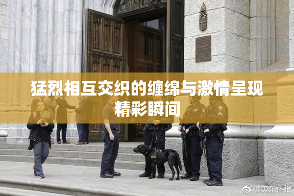猛烈相互交织的缠绵与激情呈现精彩瞬间