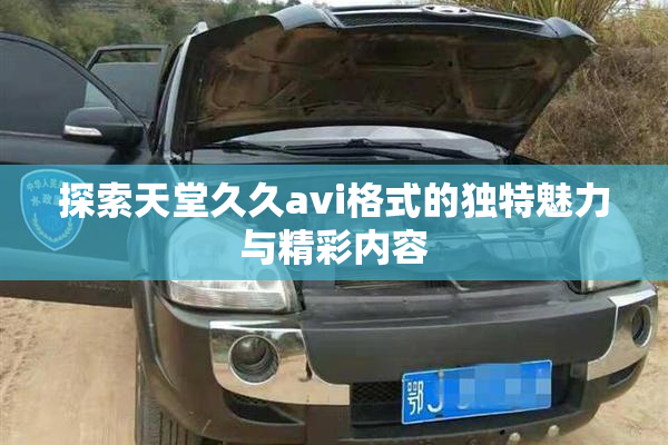 探索天堂久久avi格式的独特魅力与精彩内容