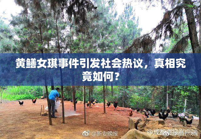 黄鳝女琪事件引发社会热议，真相究竟如何？