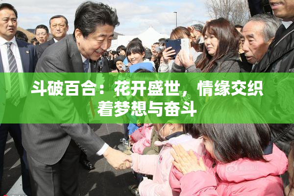 斗破百合：花开盛世，情缘交织着梦想与奋斗