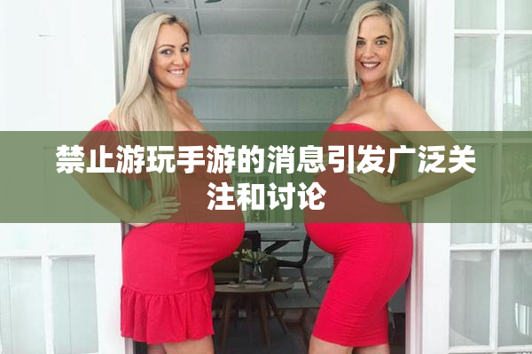 禁止游玩手游的消息引发广泛关注和讨论