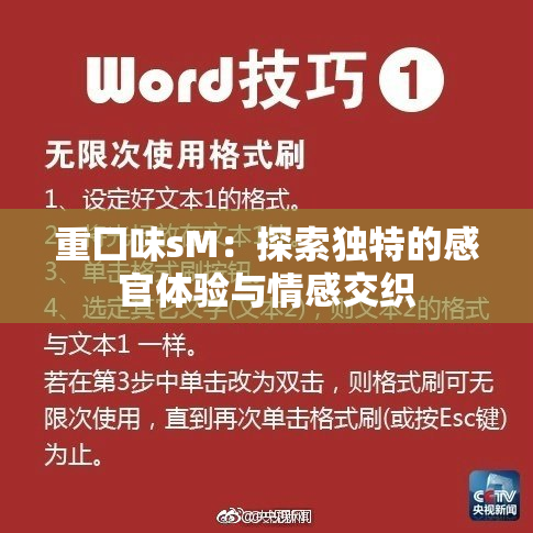 重囗味sM：探索独特的感官体验与情感交织