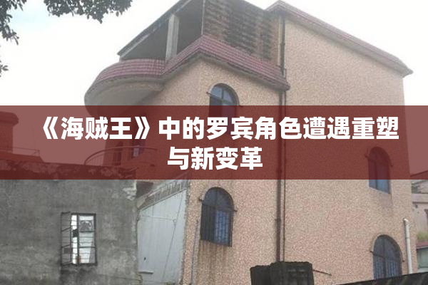 《海贼王》中的罗宾角色遭遇重塑与新变革