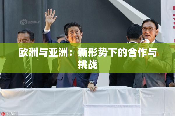 欧洲与亚洲：新形势下的合作与挑战