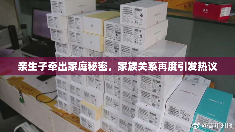 亲生子牵出家庭秘密，家族关系再度引发热议