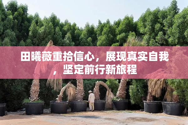 田曦薇重拾信心，展现真实自我，坚定前行新旅程