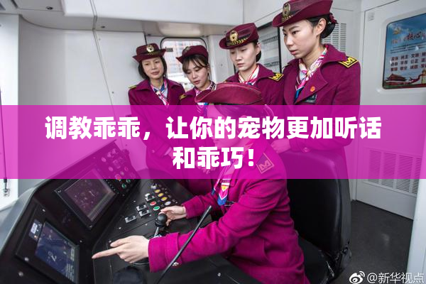 调教乖乖，让你的宠物更加听话和乖巧！