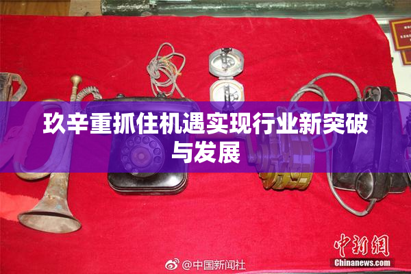 玖辛重抓住机遇实现行业新突破与发展