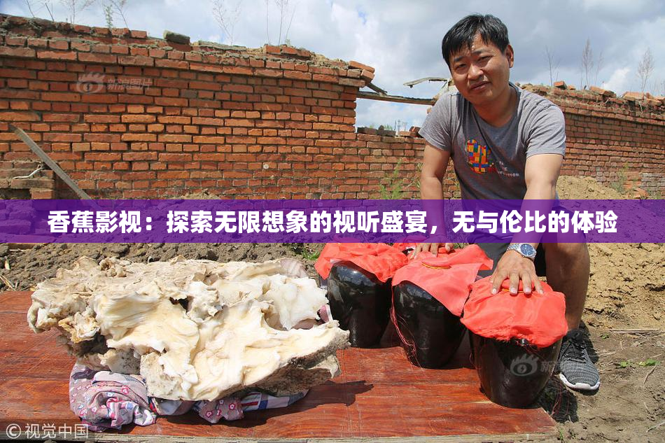 香蕉影视：探索无限想象的视听盛宴，无与伦比的体验