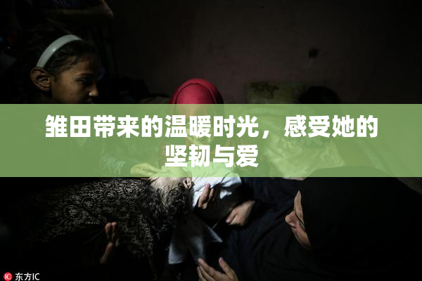 雏田带来的温暖时光，感受她的坚韧与爱