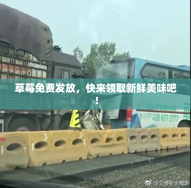 草莓免费发放，快来领取新鲜美味吧！