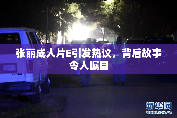 张丽成人片E引发热议，背后故事令人瞩目