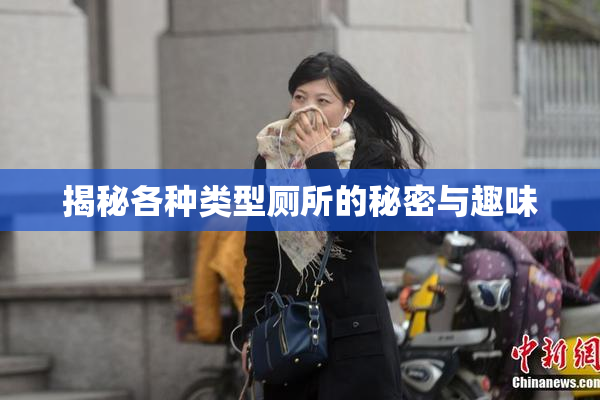 揭秘各种类型厕所的秘密与趣味