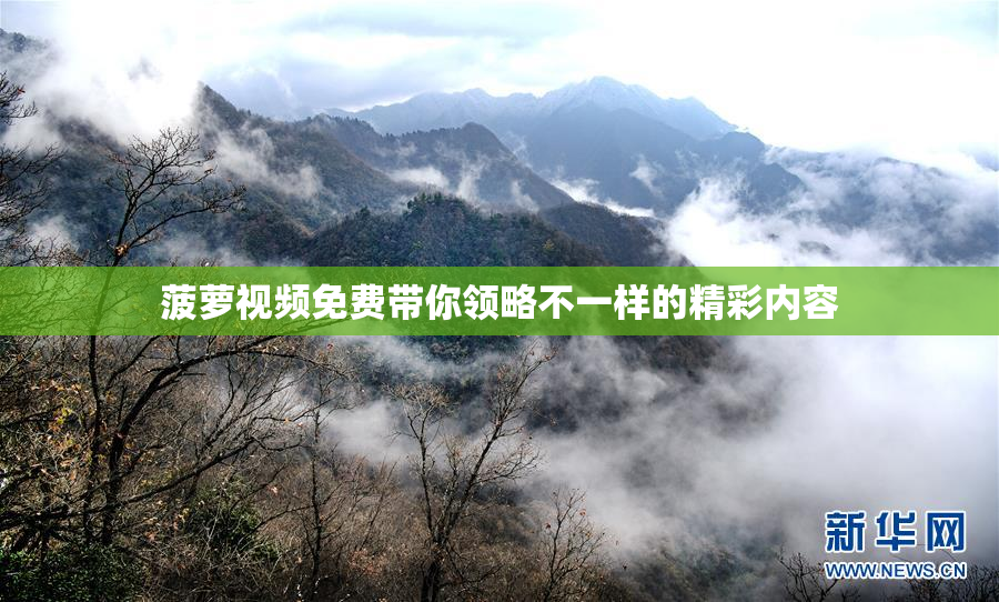 菠萝视频免费带你领略不一样的精彩内容