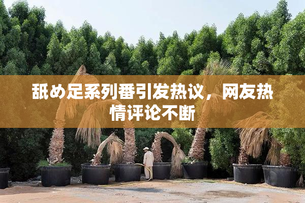 舐め足系列番引发热议，网友热情评论不断