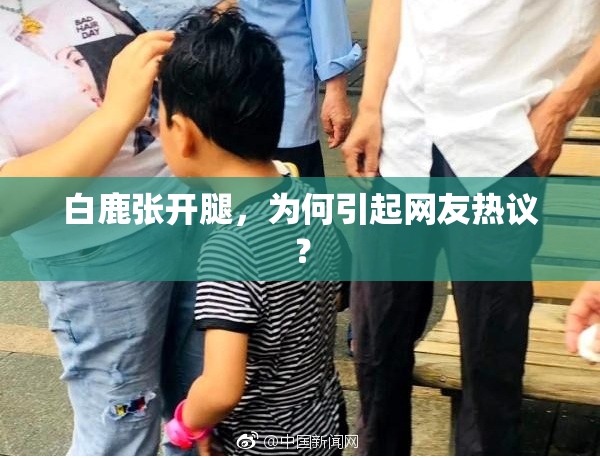 白鹿张开腿，为何引起网友热议？