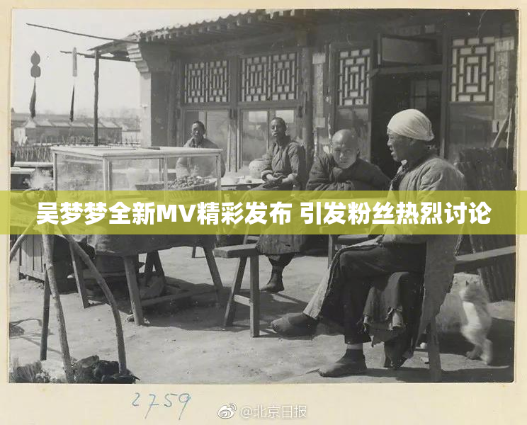 吴梦梦全新MV精彩发布 引发粉丝热烈讨论
