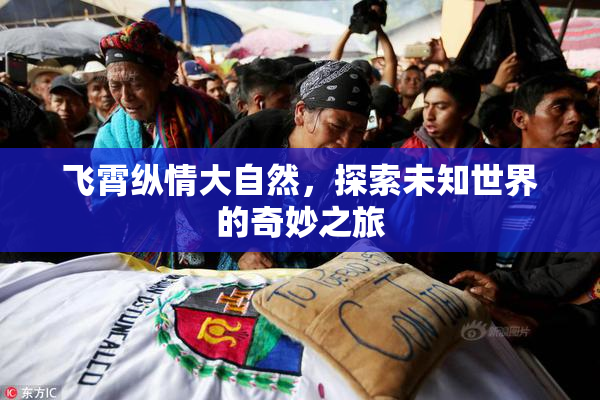 飞霄纵情大自然，探索未知世界的奇妙之旅