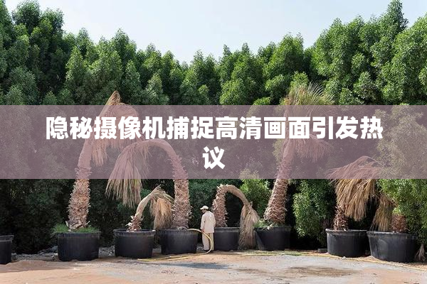 隐秘摄像机捕捉高清画面引发热议