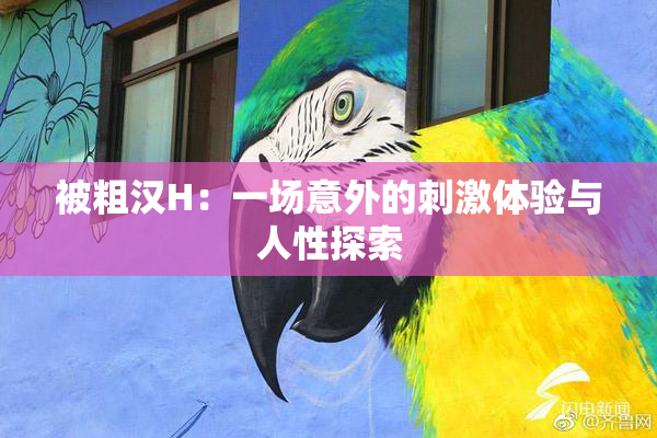 被粗汉H：一场意外的刺激体验与人性探索