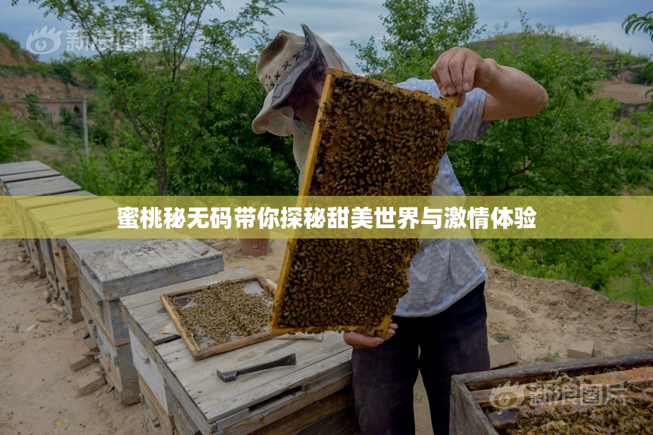 蜜桃秘无码带你探秘甜美世界与激情体验