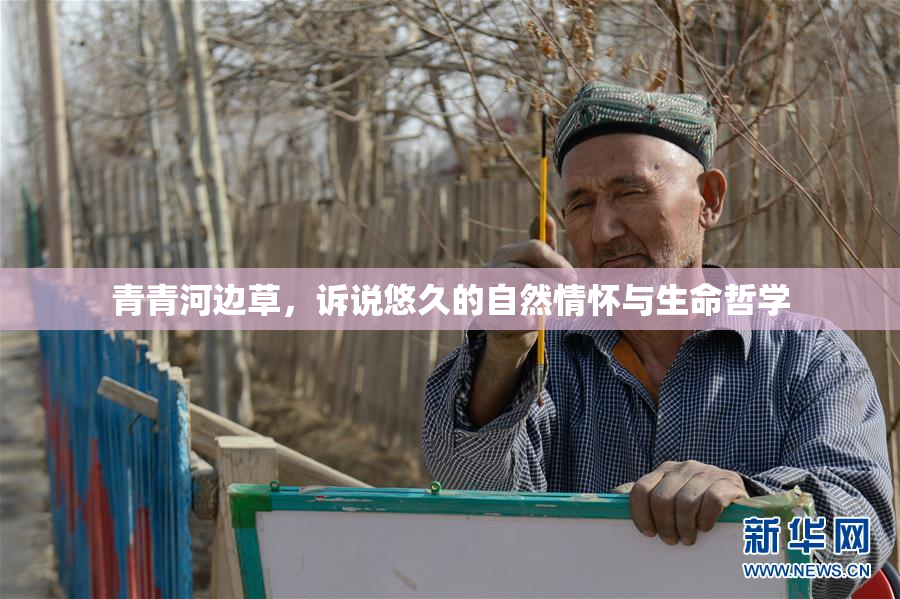 青青河边草，诉说悠久的自然情怀与生命哲学