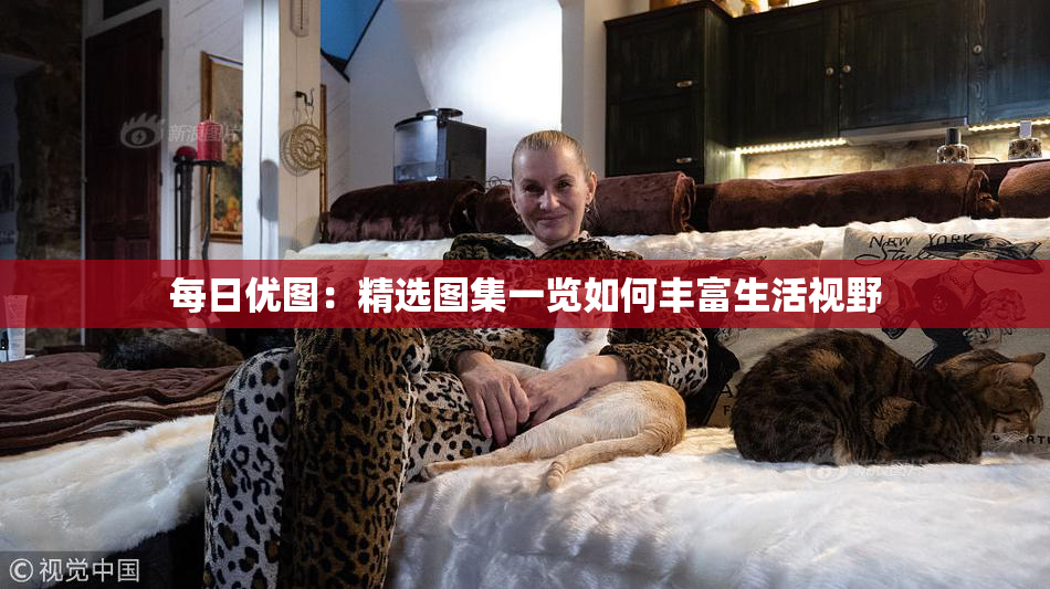 每日优图：精选图集一览如何丰富生活视野