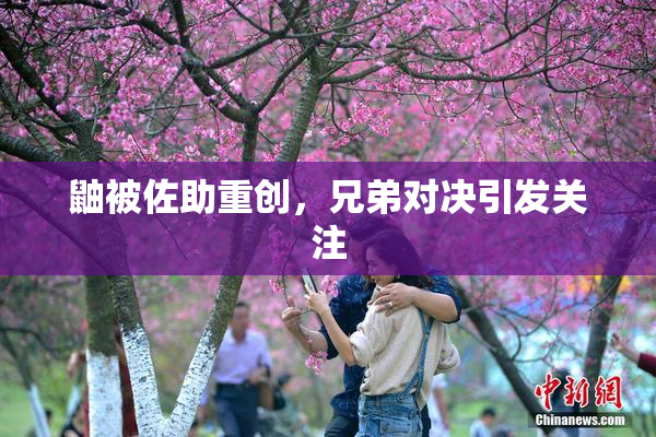鼬被佐助重创，兄弟对决引发关注