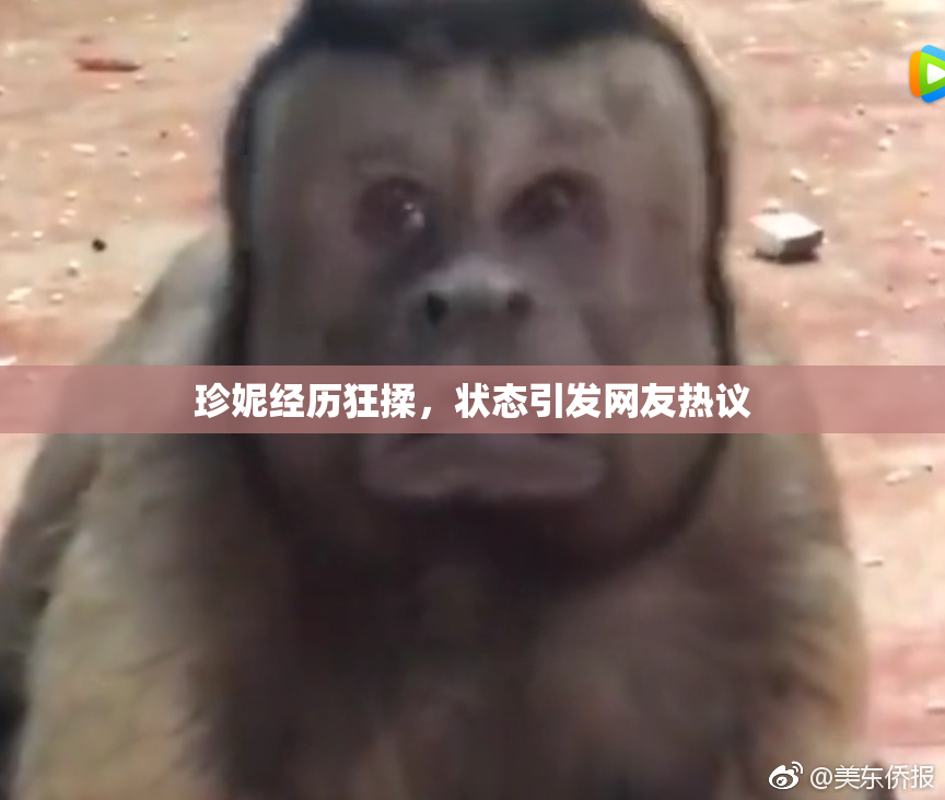 珍妮经历狂揉，状态引发网友热议