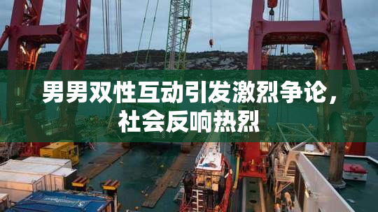 男男双性互动引发激烈争论，社会反响热烈