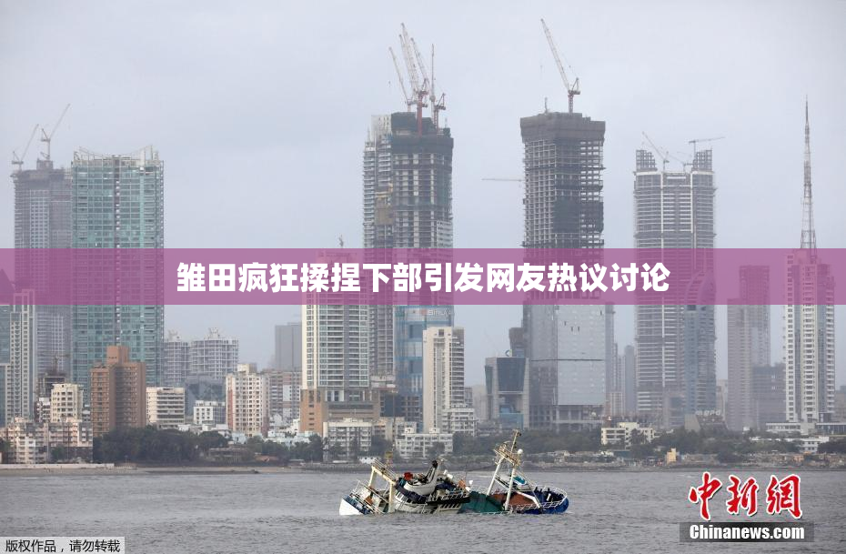 雏田疯狂揉捏下部引发网友热议讨论