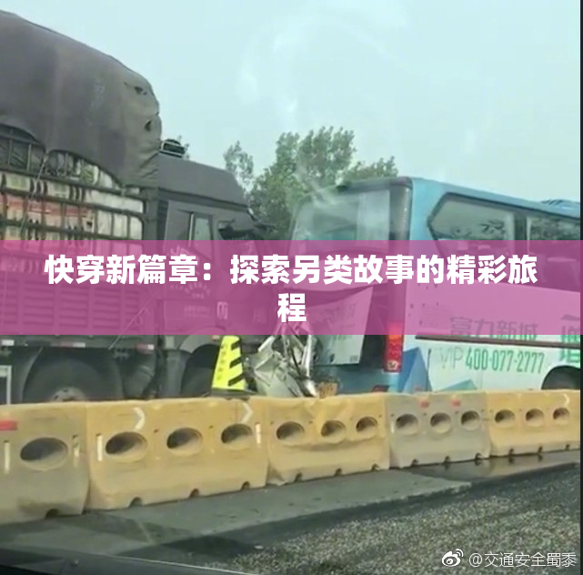 快穿新篇章：探索另类故事的精彩旅程