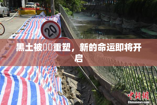 黑土被❌‌重塑，新的命运即将开启