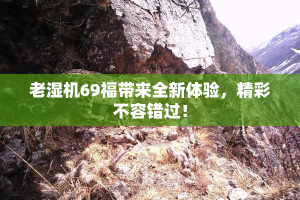 老湿机69福带来全新体验，精彩不容错过！