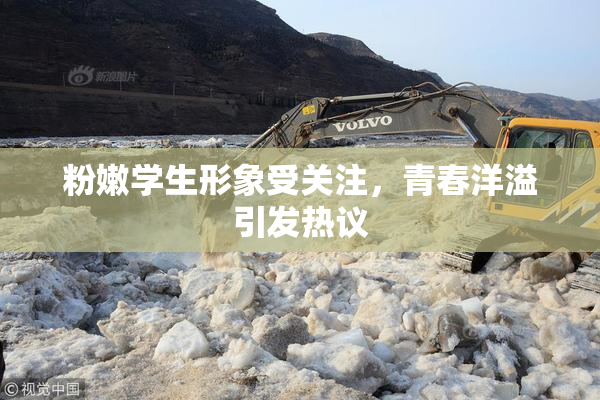 粉嫩学生形象受关注，青春洋溢引发热议