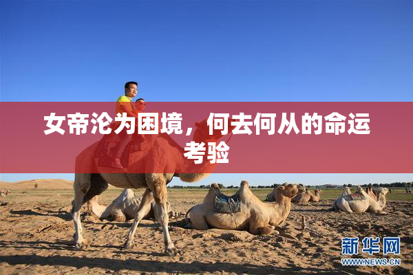 女帝沦为困境，何去何从的命运考验