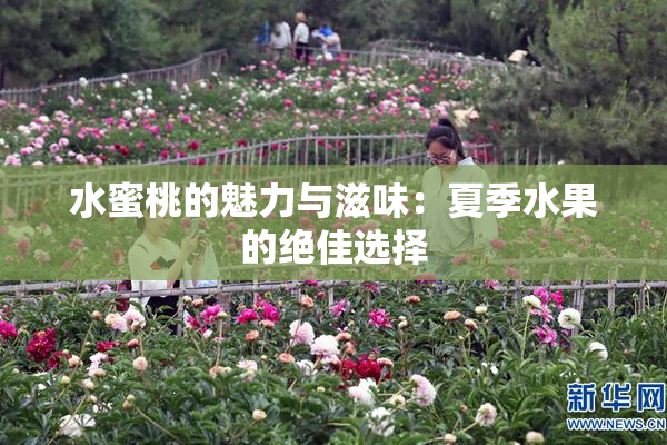 水蜜桃的魅力与滋味：夏季水果的绝佳选择