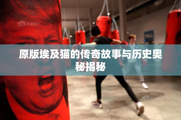 原版埃及猫的传奇故事与历史奥秘揭秘
