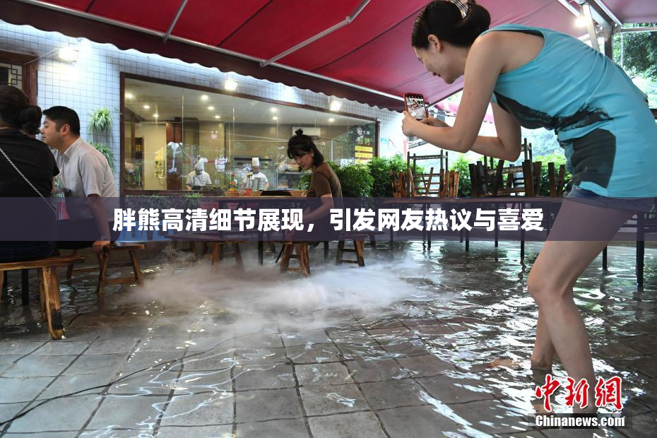 胖熊高清细节展现，引发网友热议与喜爱