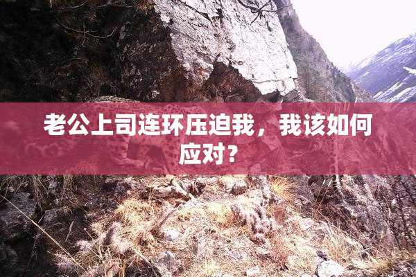 老公上司连环压迫我，我该如何应对？
