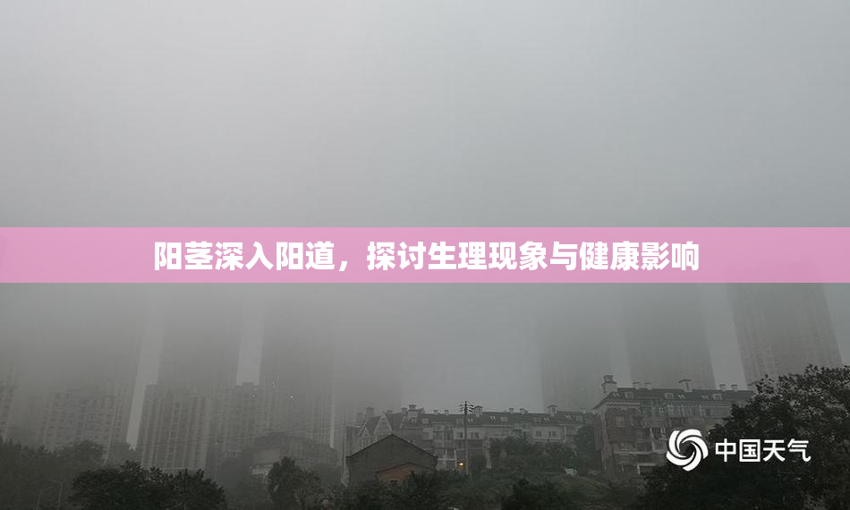 阳茎深入阳道，探讨生理现象与健康影响