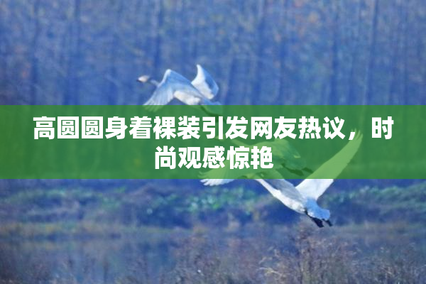 高圆圆身着裸装引发网友热议，时尚观感惊艳