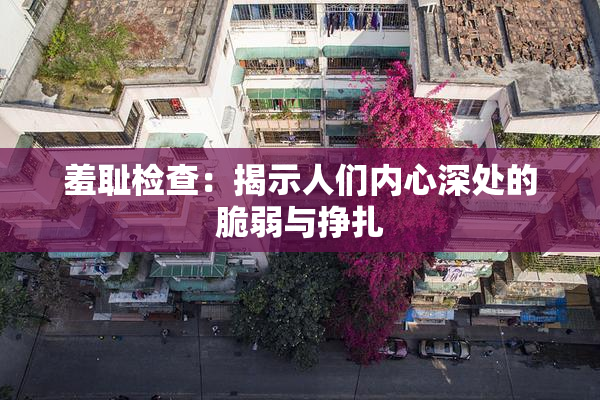 羞耻检查：揭示人们内心深处的脆弱与挣扎