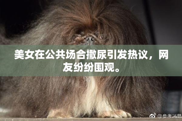 美女在公共场合撒尿引发热议，网友纷纷围观。
